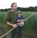 Putting up Swallow nets © BTO